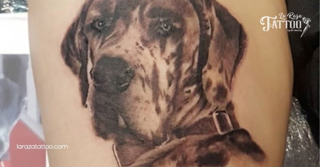 Stunning Realistic Great Dane Tattoos: A Unique Way to Celebrate Your Beloved Companion 2 Black and Grey Realistic Great Dane Tattoos
