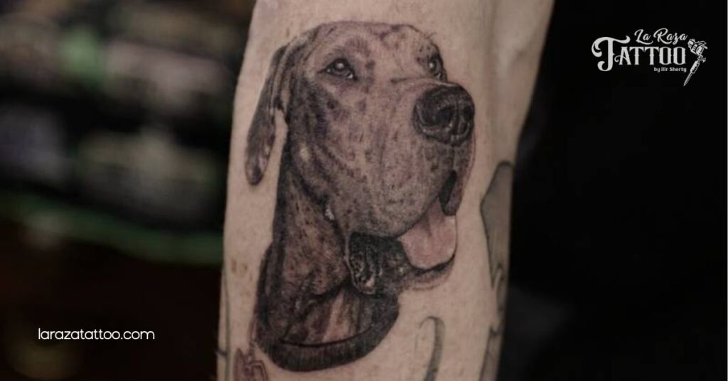 Stunning Realistic Great Dane Tattoos: A Unique Way to Celebrate Your Beloved Companion 6 Choosing the Right Artist for Realistic Great Dane Tattoos