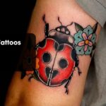 Ladybug Tattoos