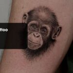 Monkey Tattoo