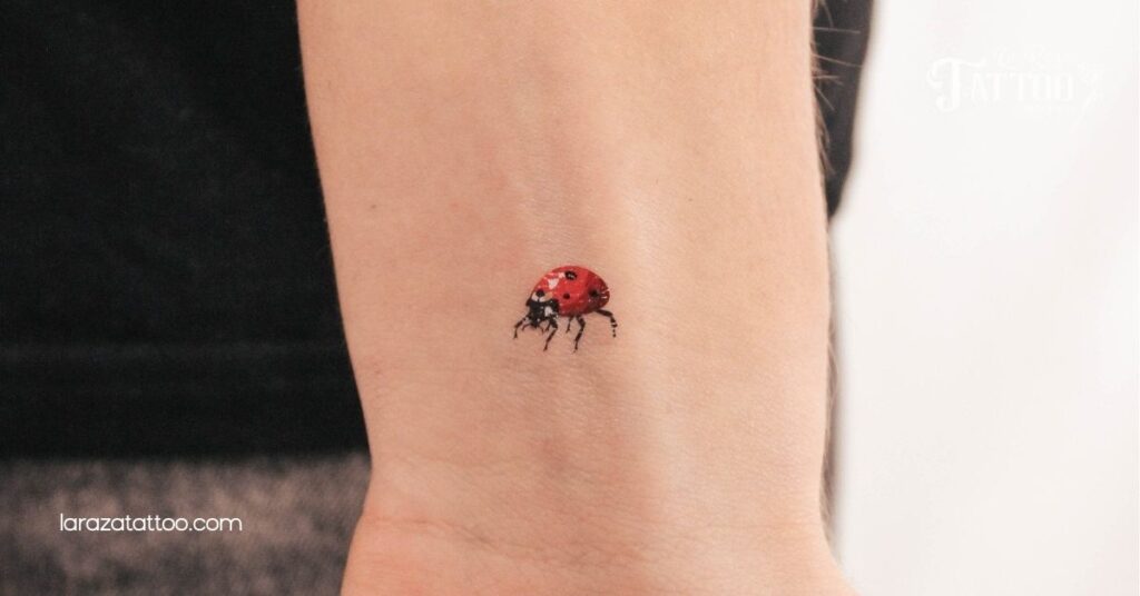 Discover the Magic of Ladybug Tattoos: Meaning, Designs, and Aftercare Tips You Need to Know 5 Placement Options for Ladybug Tattoos