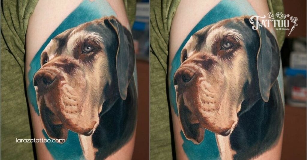 Portraits of Great Danes