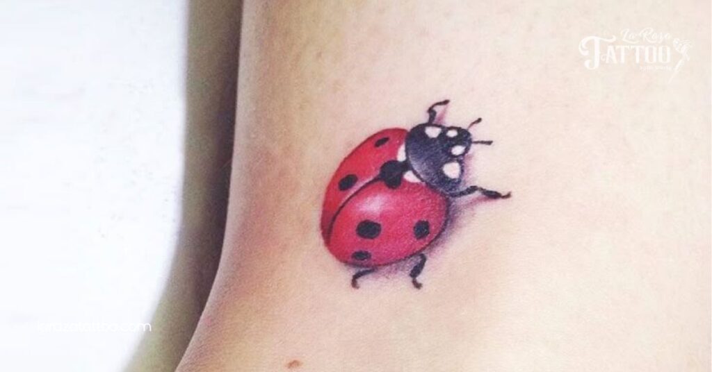 Discover the Magic of Ladybug Tattoos: Meaning, Designs, and Aftercare Tips You Need to Know 4 Realistic Ladybug Tattoos