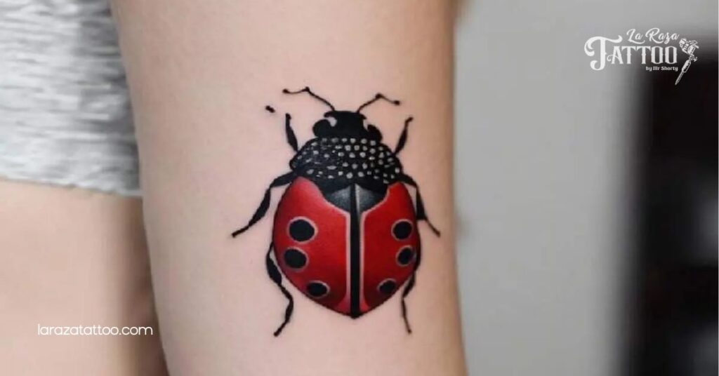 Discover the Magic of Ladybug Tattoos: Meaning, Designs, and Aftercare Tips You Need to Know 2 Traditional Ladybug Tattoos